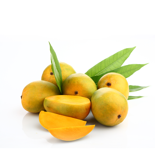 Premium Himshagor Mango~ 2 Kg Pack