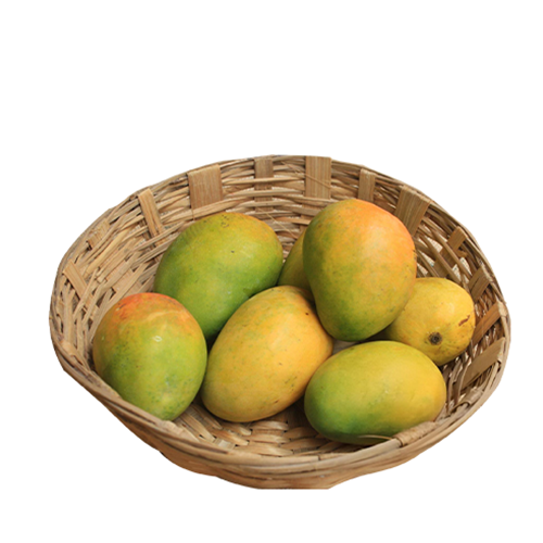 Premium Langra Mango~ 1 kg